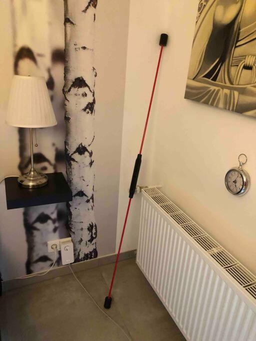 Willkommen Im Casa Felice, Der Wohlfuehl Oase Mit Balkon, 4 Betten Und Homeoffice Platz Aidlingen Kültér fotó