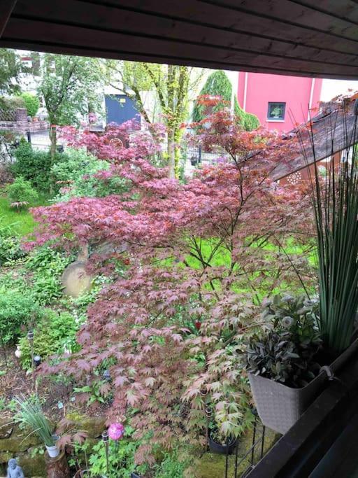 Willkommen Im Casa Felice, Der Wohlfuehl Oase Mit Balkon, 4 Betten Und Homeoffice Platz Aidlingen Kültér fotó